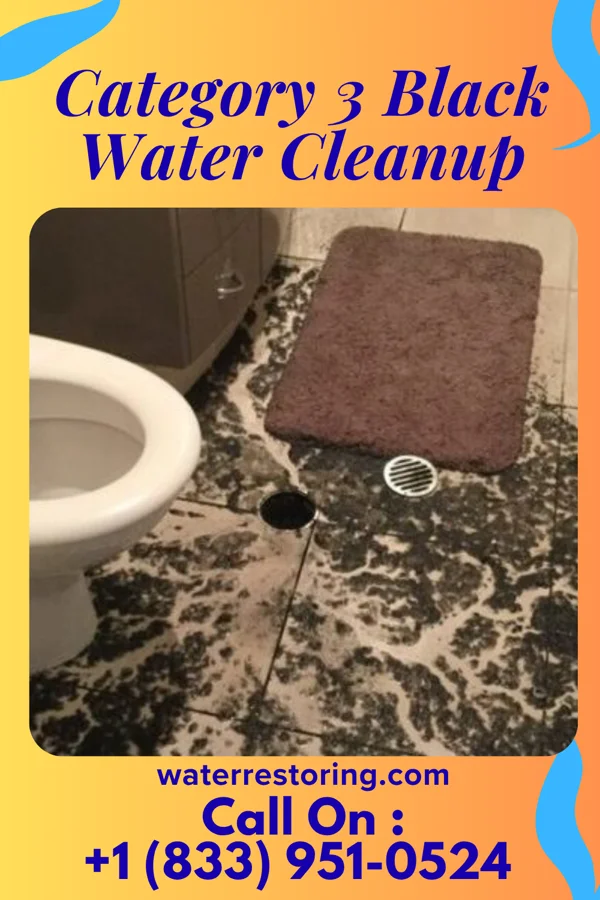 Category 3 Black Water Cleanup in Teutopolis, IL