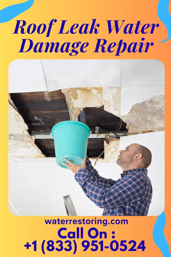 Roof Leak Water Damage Repair in Teutopolis, IL